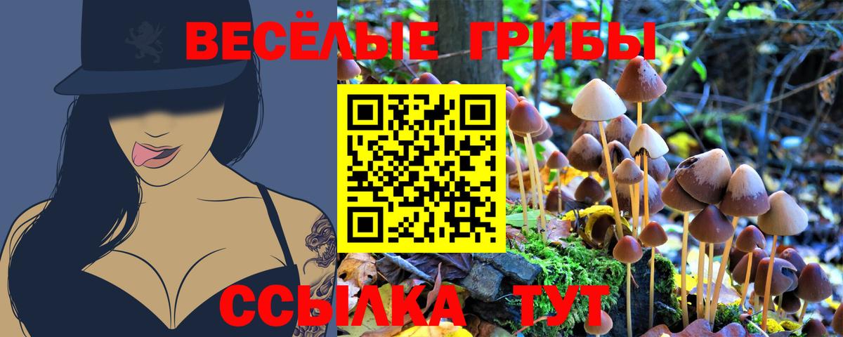 Псилоцибиновые грибы ЛСД Мелеуз